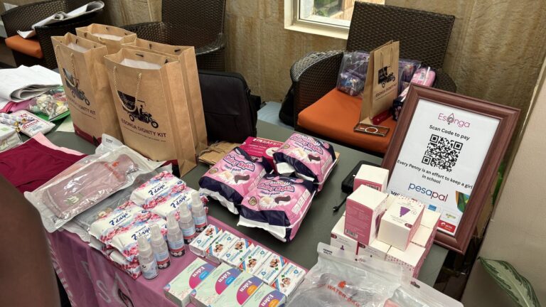 Esonga exhibition table GIZ session may 2026
